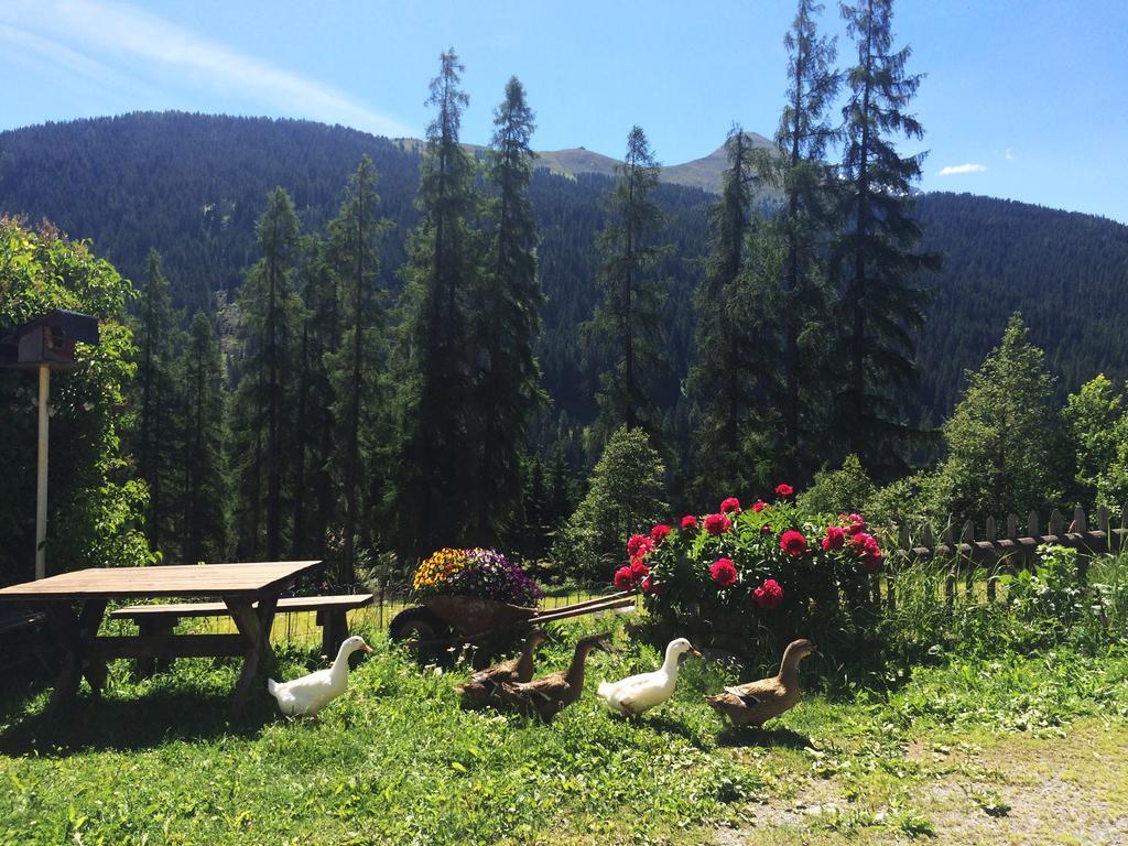 Bnb Guesthouse Lusi Frauenkirch Экстерьер фото